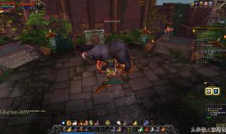 祖阿曼战熊 祖阿曼战熊